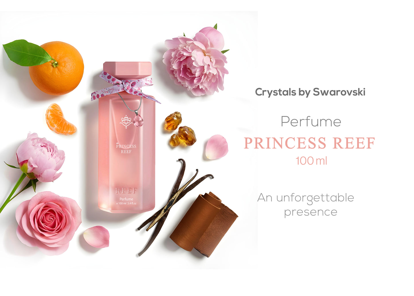Princess Reef Box